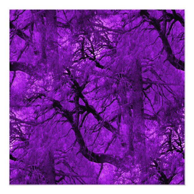 Póster Floresta Fantástica... (Frente)