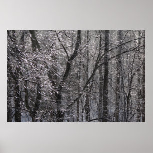 Poster Floresta gelada de manhã I