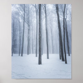 Poster Floresta invernal nebulosa e congelada