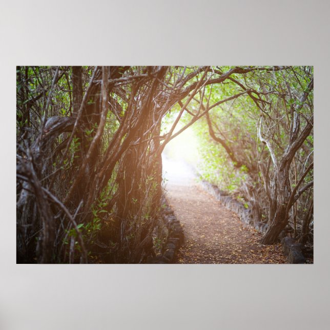 Póster Floresta mágica da manhã (Frente)