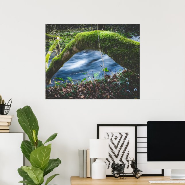 Poster Floresta mágica encantada (Escritório em casa)