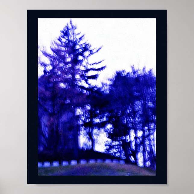 Póster Floresta Misteriosa (Frente)