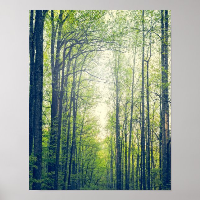 Póster Floresta mística (Frente)