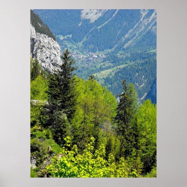 Poster Floresta montanhosa nos Alpes suíços (Frente)