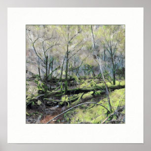 Poster Floresta Mossy