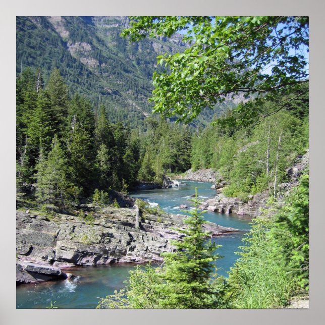 Poster Floresta Nacional Atatenta (Frente)