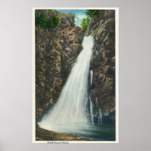 Póster Floresta nacional das montanhas brancas