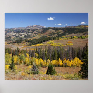 Póster Floresta Nacional de Bridger-Teton