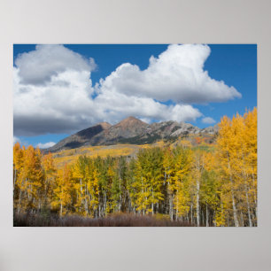 Poster Floresta Nacional de Gunnison, Colorado