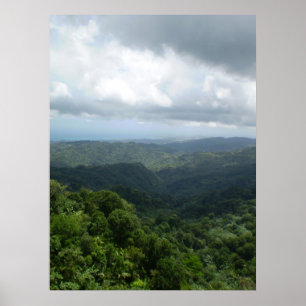 Póster Floresta nacional do EL Yunque