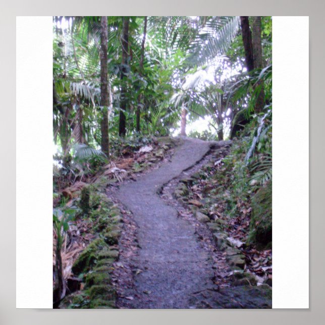 Poster Floresta Nacional El Yunque (Frente)