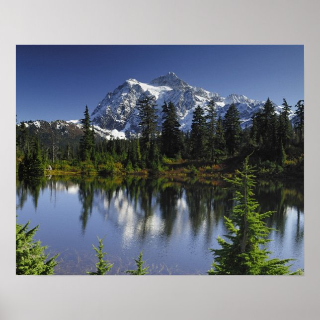 Poster Floresta Nacional Monte Baker-Snoqualmie (Frente)