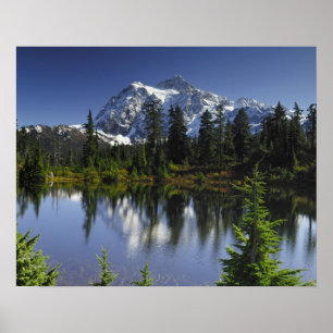 Poster Floresta Nacional Mount Baker-Snoqualmie