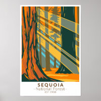 Floresta Nacional Sequoia Califórnia Vintage