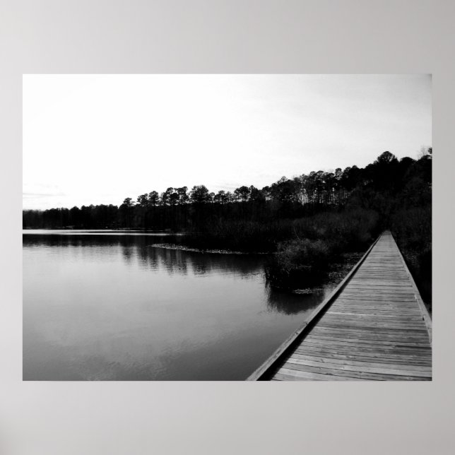 Poster Floresta Nacional Tombigbee (Frente)