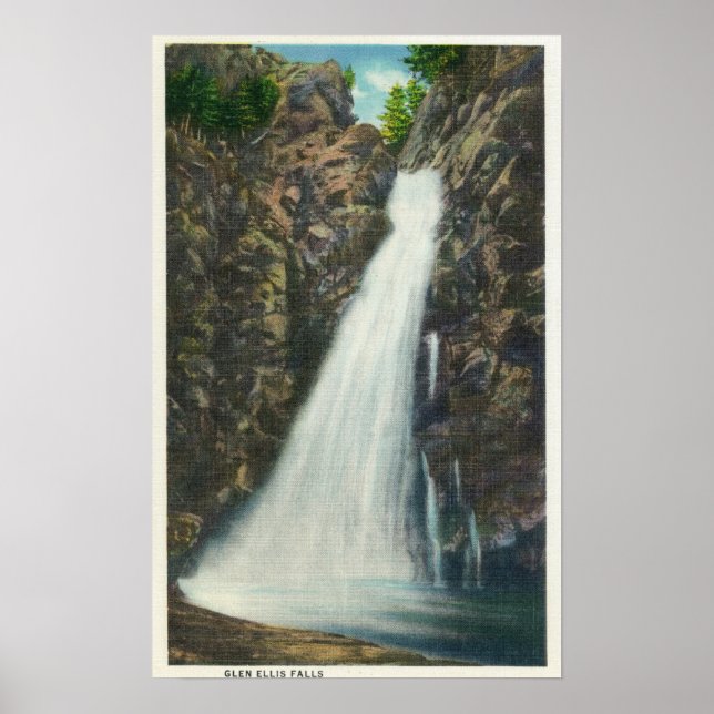 Póster Floresta Nat, Montanhas Brancas (Frente)