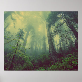 Poster Floresta Nebulosa