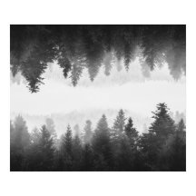 Floresta nebulosa espelhada em preto e branco