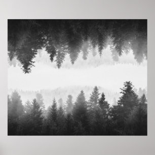 Poster Floresta nebulosa espelhada em preto e branco