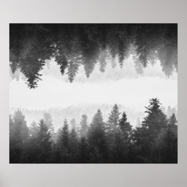 Poster Floresta nebulosa espelhada em preto e branco (Frente)