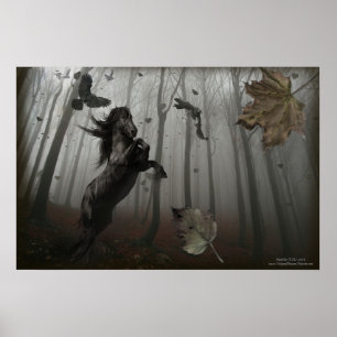 Poster Floresta Negra