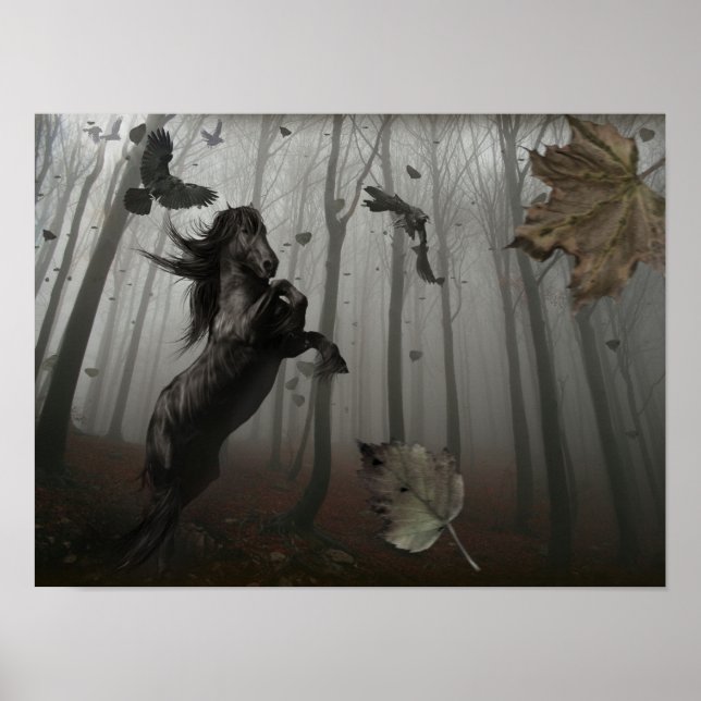 Poster Floresta Negra (Frente)