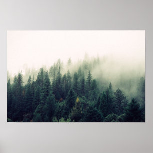 Poster Floresta nevoenta