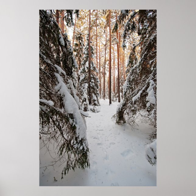Poster Floresta no inverno (Frente)