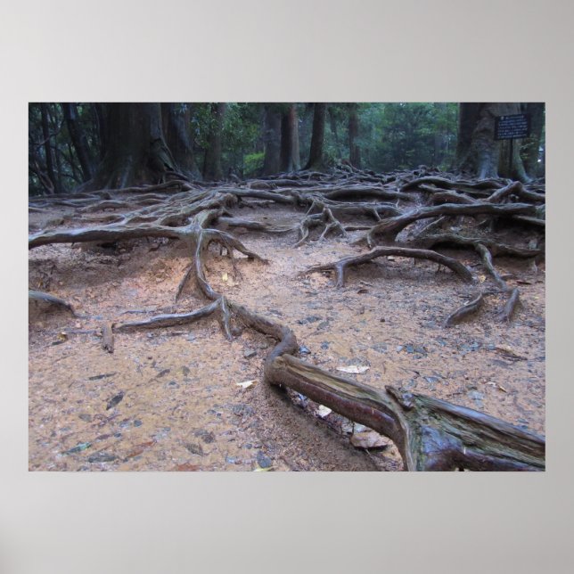 Poster Floresta no Monte Kurama (Frente)
