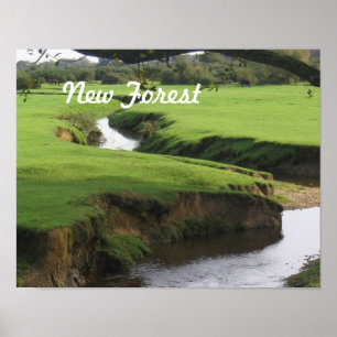 Poster Floresta nova