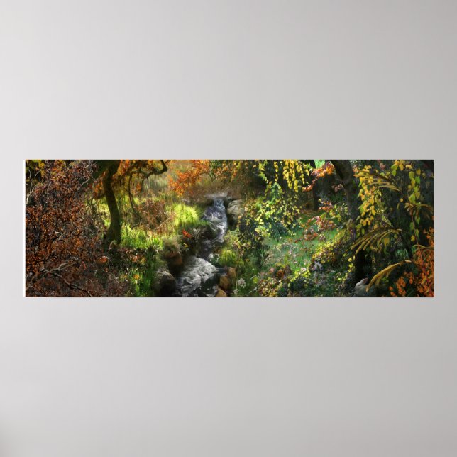 POSTER FLORESTA PEQUENO RIO MÉDIO (Frente)