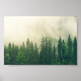 Poster Floresta poster, floresta grande