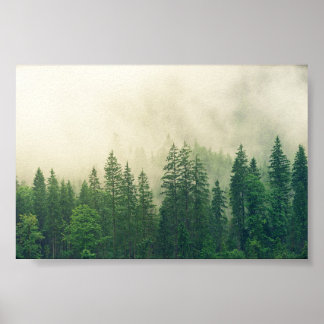 Poster Floresta poster, floresta grande