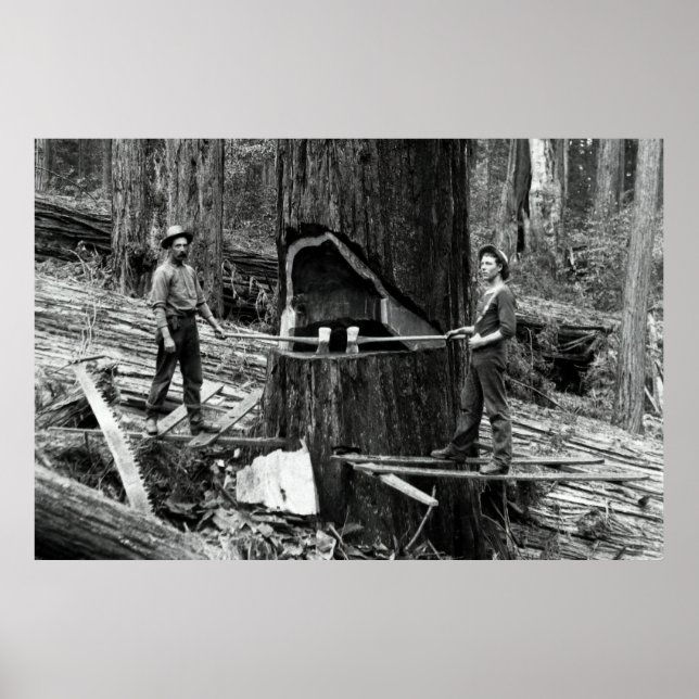 Poster FLORESTA PROFUNDA, LUMBERJACKS c. 1890 (Frente)