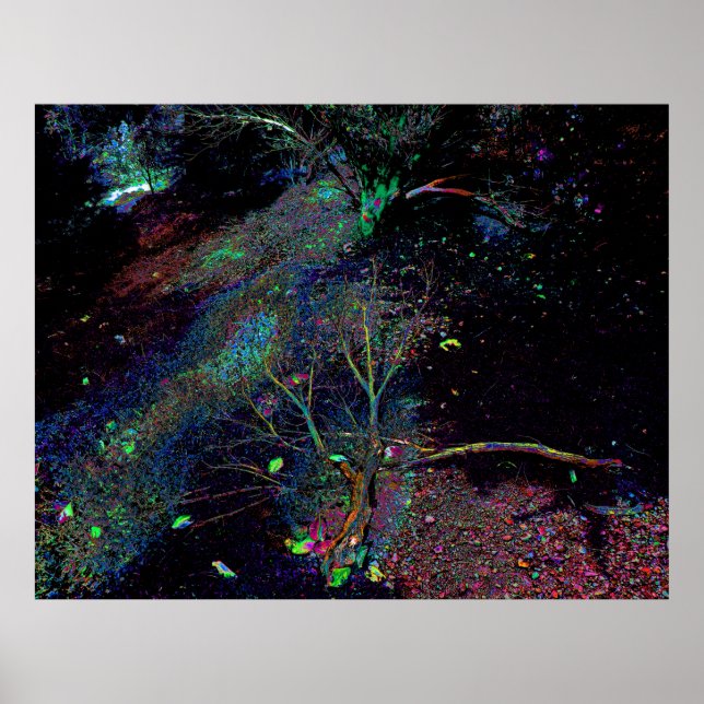 Poster Floresta Psicodélica... (Frente)