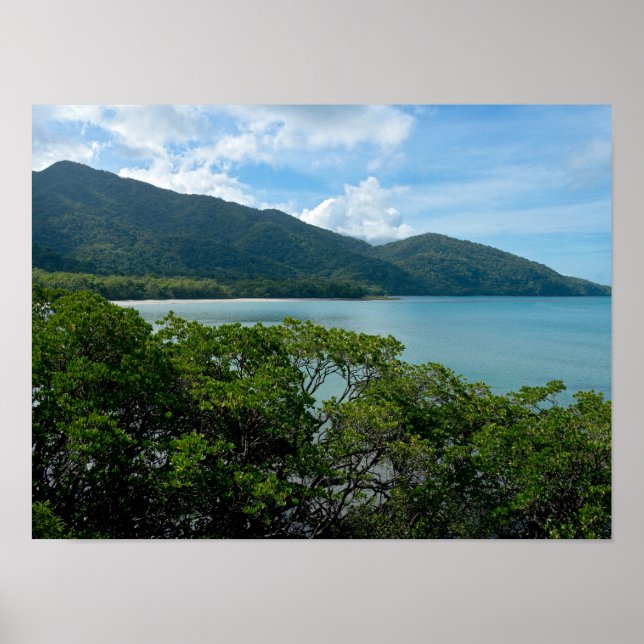 Poster Floresta Rainha Daintree em Cape Tribulation (Frente)