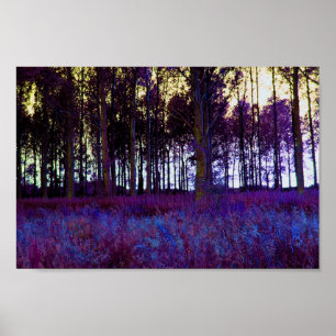 Póster Floresta roxa