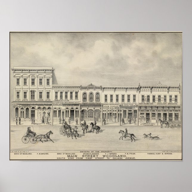 Póster Floresta Rua 2 (Frente)