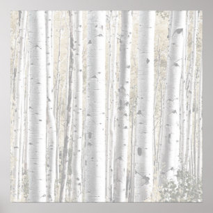 Póster Floresta rústica da árvore de vidoeiro branco do