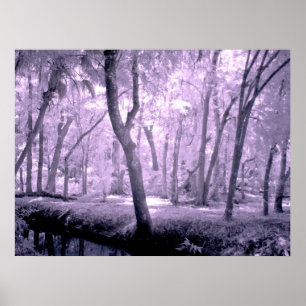 Póster Floresta Samurai