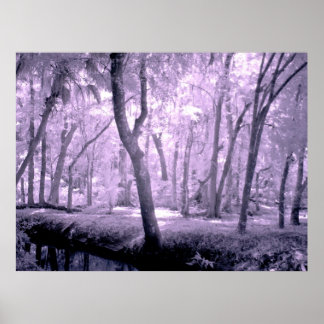 Póster Floresta Samurai