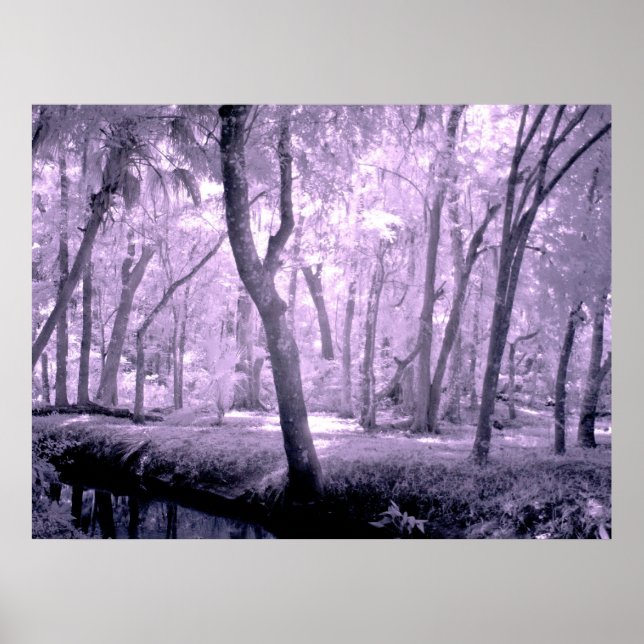 Póster Floresta Samurai (Frente)