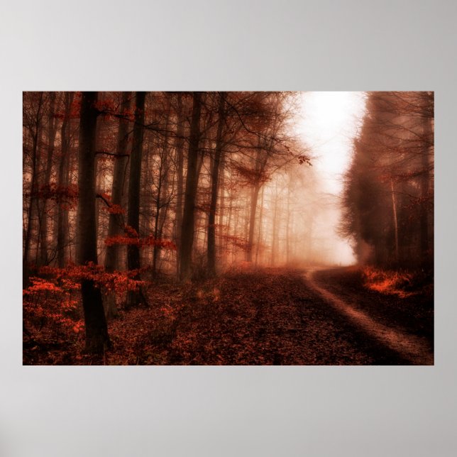 Póster Floresta sem neve dramática vermelha nebulosa de i (Frente)