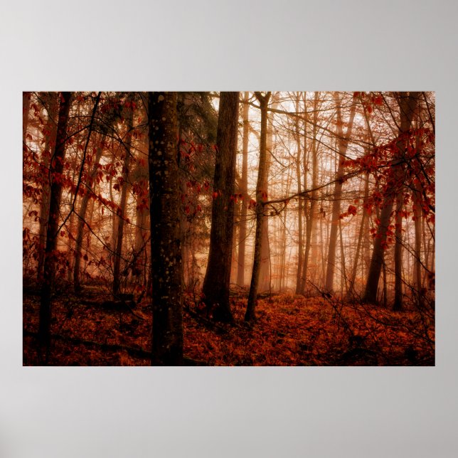 Póster Floresta sem neve dramática vermelha nebulosa de i (Frente)