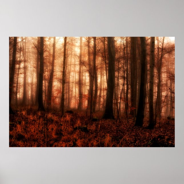 Poster Floresta sem neve dramática vermelha nebulosa de i (Frente)