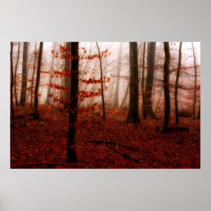 Póster Floresta sem neve dramática vermelha nebulosa de i