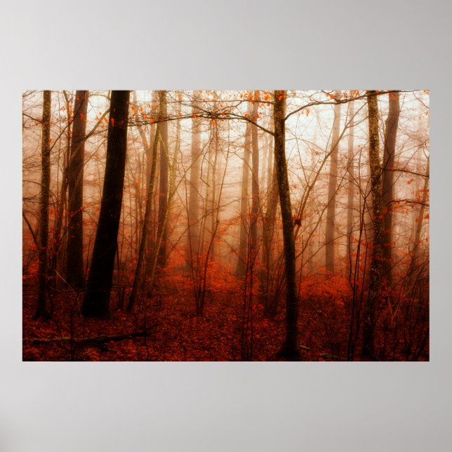 Póster Floresta sem neve dramática vermelha nebulosa de i (Frente)