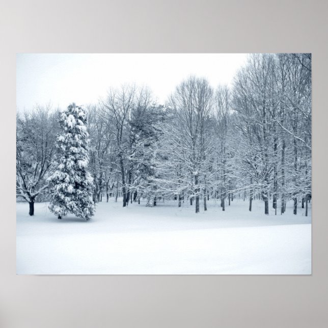 Póster Floresta Silenciosa (Frente)