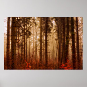 Póster Floresta snowless do inverno nevoento vermelho