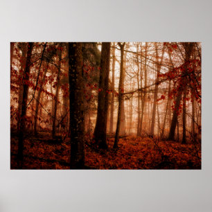 Póster Floresta snowless do inverno nevoento vermelho